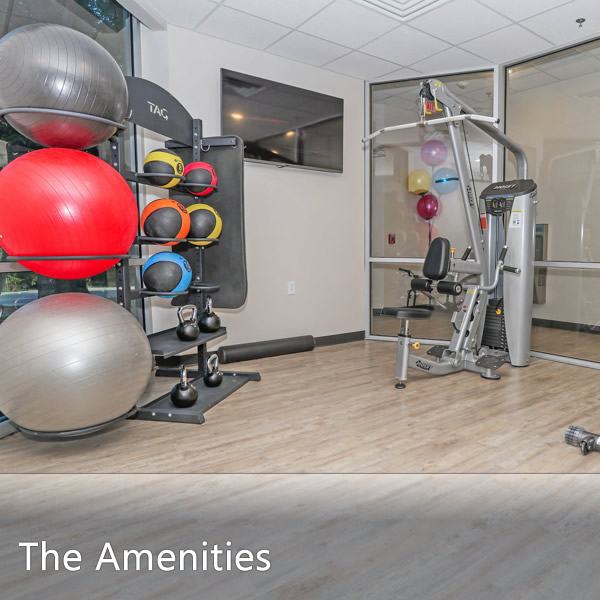 Features & Amenities